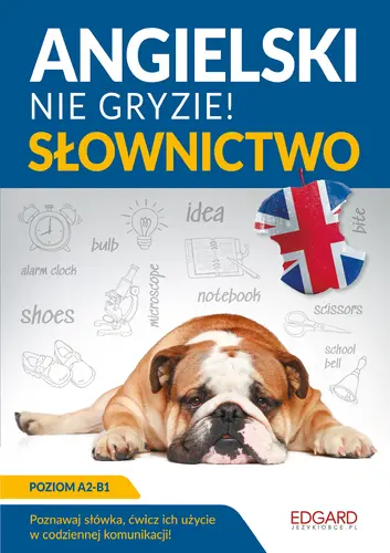 Okładka: Angielski nie gryzie! Słownictwo
