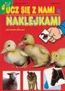 Okładka: Ucz się z nami naklejkami cz. 4