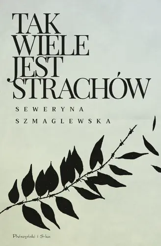 Okładka: Tak wiele jest strachów