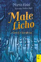 Okładka: Małe Licho i anioł z kamienia