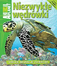 Okładka: Niezwykłe wędrówki. Wielkie migracje zwierząt