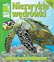 Okładka: Niezwykłe wędrówki. Wielkie migracje zwierząt