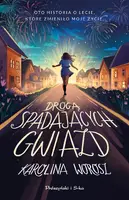 Okładka: Drogą spadających gwiazd