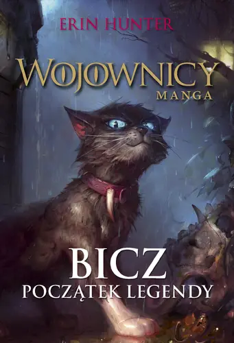 Okładka: Bicz. Początek legendy