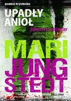 Okładka: Upadły anioł