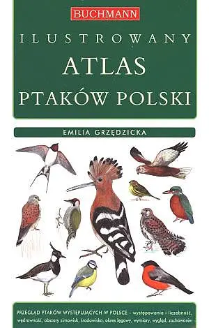Okładka: Ilustrowany atlas ptaków Polski