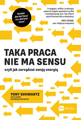 Okładka: Taka praca nie ma sensu czyli jak zarządzać swoją energią