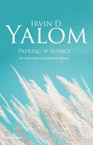 Okładka: Patrząc w słońce
