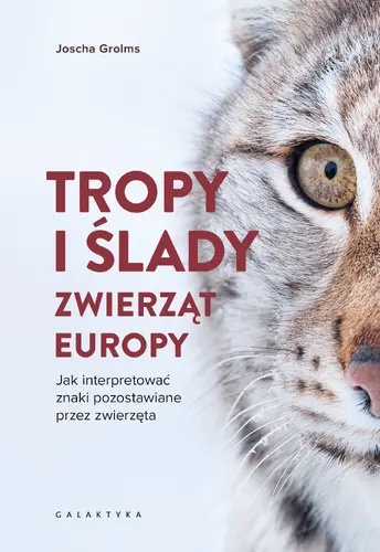 Okładka: Tropy i ślady zwierząt Europy