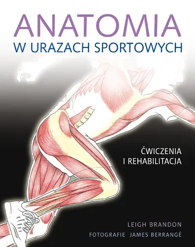 Okładka: Anatomia w urazach sportowych
