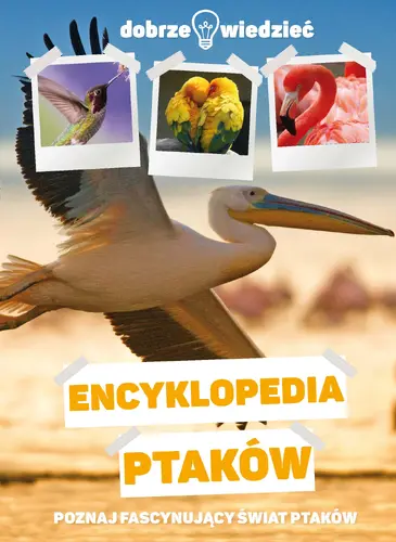 Okładka: Dobrze wiedzieć. Encyklopedia ptaków