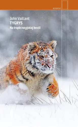 Okładka: Tygrys