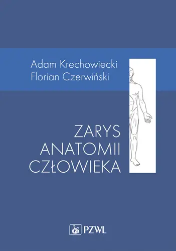 Okładka: Zarys anatomii człowieka