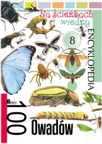 Okładka: 100 owadów. Na ścieżkach wiedzy