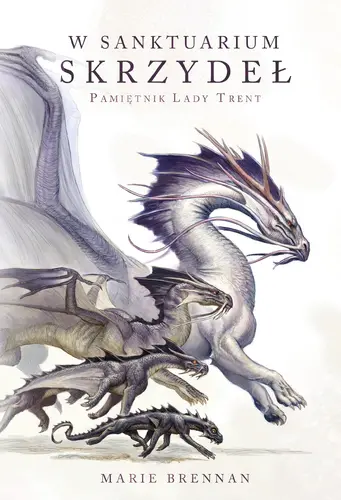 Okładka: W Sanktuarium Skrzydeł