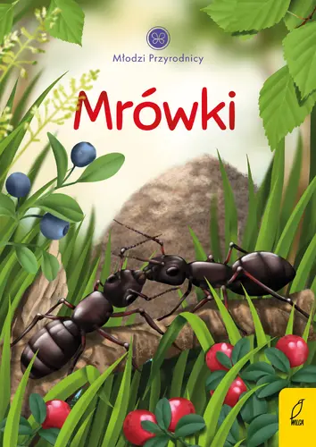Okładka: Młodzi przyrodnicy. Mrówki