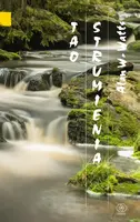 Okładka: Tao strumienia