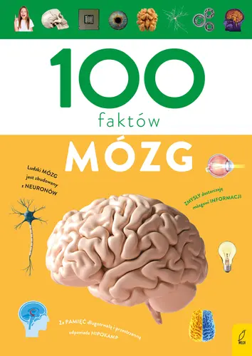 Okładka: 100 faktów. Mózg
