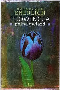 Okładka: Prowincja pełna gwiazd