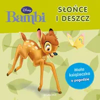 Okładka: Słońce i deszcz