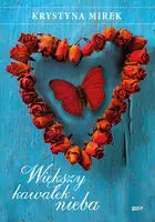 Okładka: Większy kawałek nieba