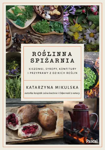 Okładka: Roślinna spiżarnia. Kiszonki, syropy, konfitury i przyprawy z dzikich roślin