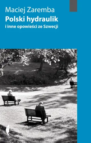 Okładka: Polski hydraulik i inne opowieści ze Szwecji