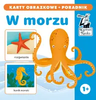 Okładka: W morzu. Karty obrazkowe + poradnik. Kapitan Nauka