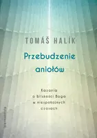 Okładka: Przebudzenie aniołów