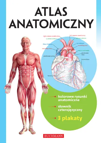 Okładka: Atlas anatomiczny