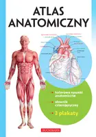 Okładka: Atlas anatomiczny