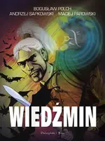 Okładka: Wiedźmin