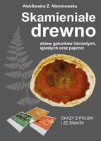 Okładka: Skamieniałe drewno drzew gatunków liściastych, iglastych oraz paproci. Okazy z Polski i ze świata