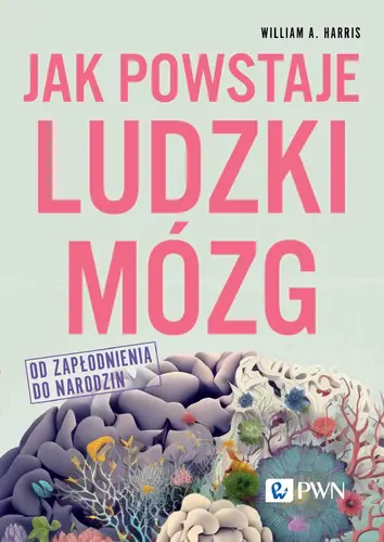 Okładka: Jak powstaje ludzki mózg. Od zapłodnienia do narodzin
