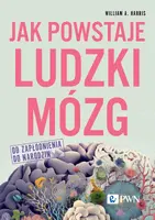 Okładka: Jak powstaje ludzki mózg. Od zapłodnienia do narodzin