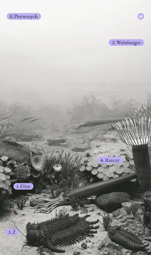 Okładka: Z rzeczy pierwszych