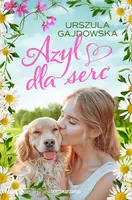Okładka: Azyl dla serc