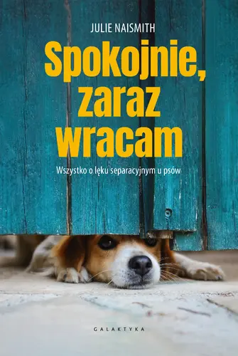 Okładka: Spokojnie, zaraz wracam