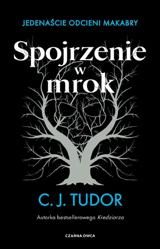 Okładka: Spojrzenie w mrok