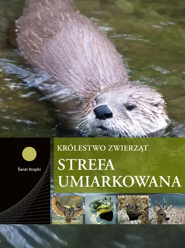 Okładka: Strefa umiarkowana