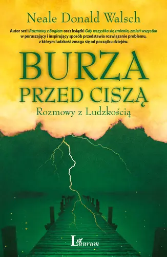 Okładka: Burza przed ciszą