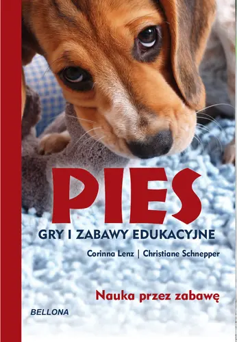 Okładka: Pies. Gry i zabawy edukacyjne