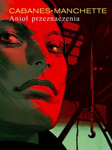 Okładka: Anioł przeznaczenia