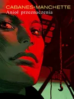 Okładka: Anioł przeznaczenia