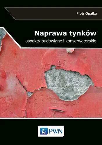 Okładka: Naprawa tynków.