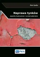 Okładka: Naprawa tynków.