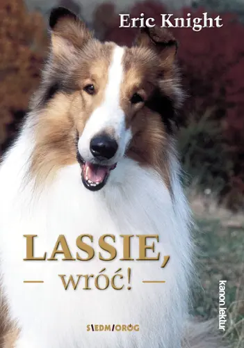 Okładka: Lassie, wróć!