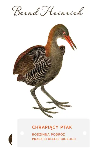 Okładka: Chrapiący ptak