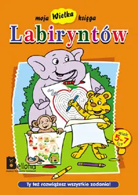 Okładka: Moja wielka księga labiryntów