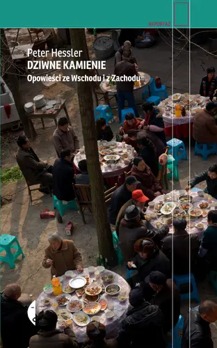 Okładka: Dziwne kamienie